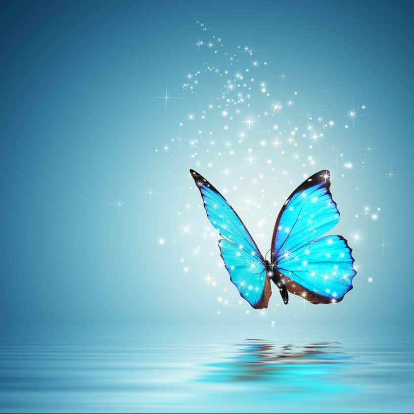 Blue Magic butterfly over water representing Enneatype 7