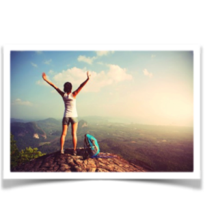 Vitality - Enneagram Workshop - Ninesight