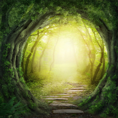 Stone road in magic forest leads to haze of light