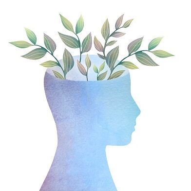 mental health Concept. Silhouette of head in profile. Flowers growing in person head